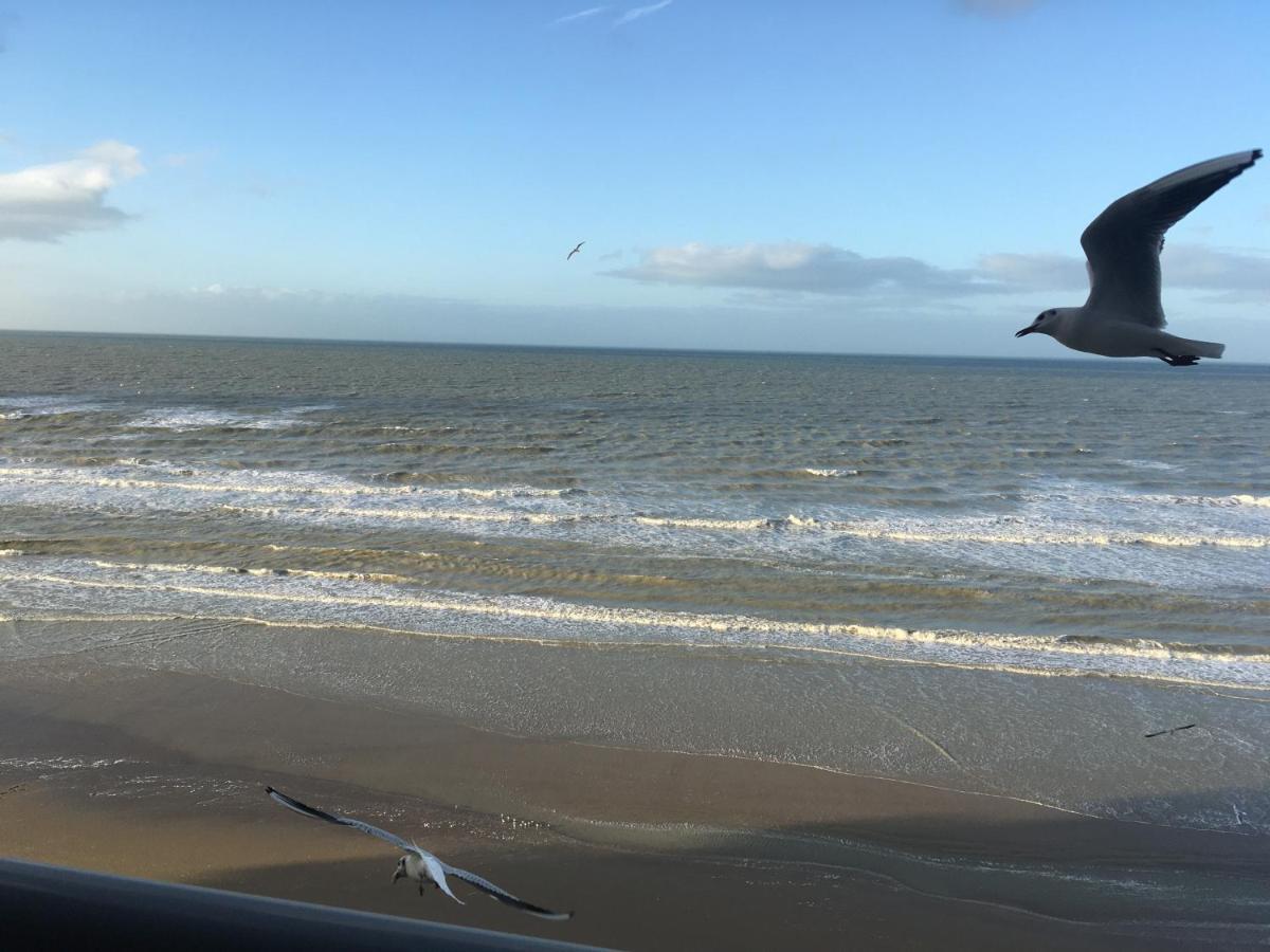 Entre Dunes Et Mer Bray-Dunes Exteriér fotografie