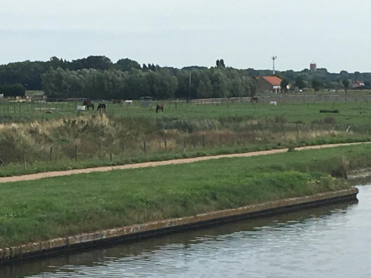Entre Dunes Et Mer Bray-Dunes Exteriér fotografie